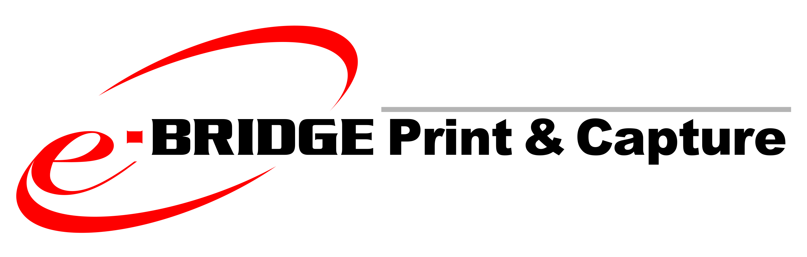 e BRIDGE Print Capture logo L